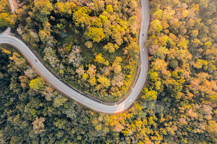 fall trees from above,Overhead view of a road in a forest in aut, a Nature Photo by Art Rachen