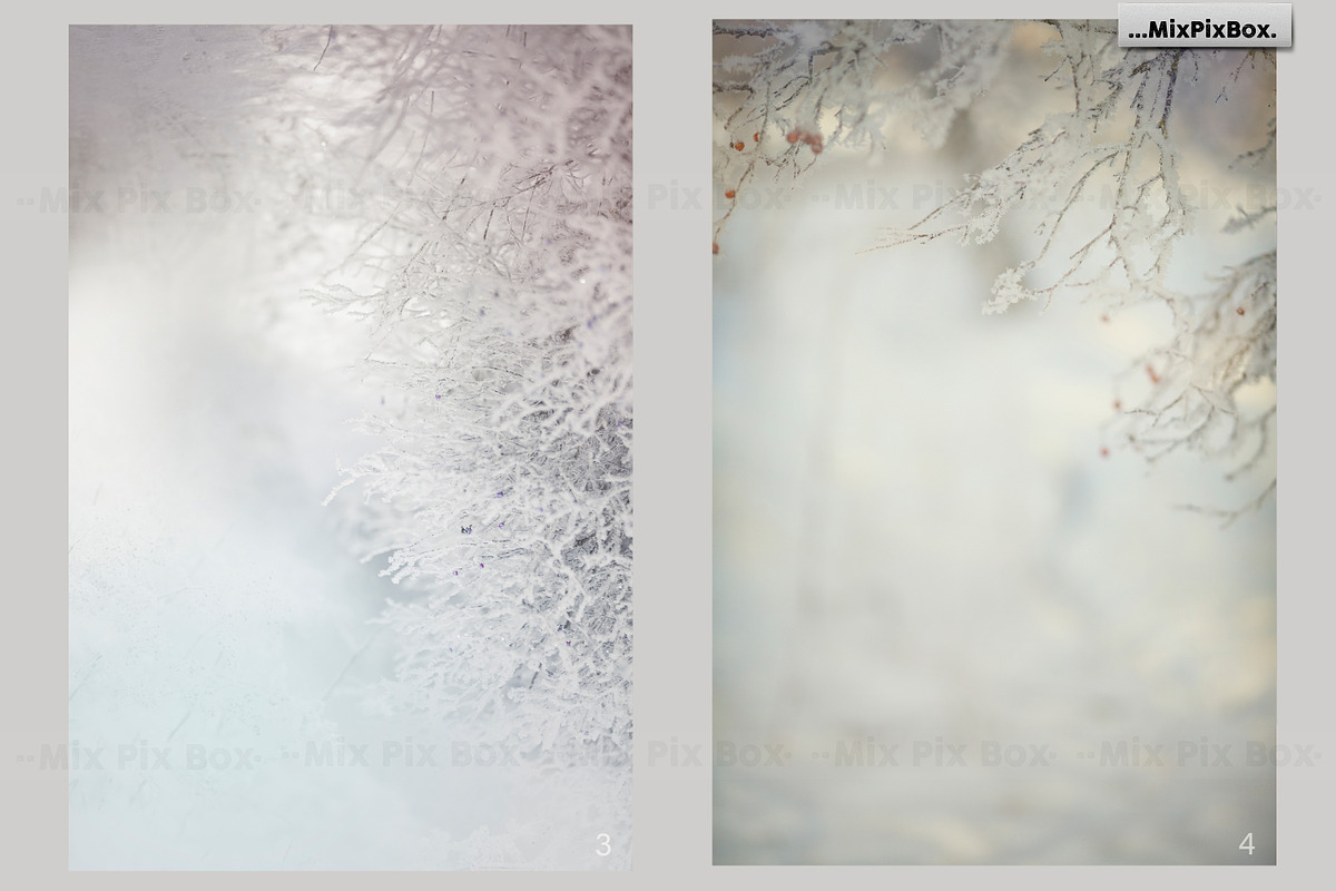 Winter Portrait Backgrounds, a Background Graphic by MixPixBox (Photo 3 of 6)