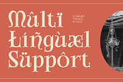 CS Amoret – Art Nouveau Font, a Serif Font by Craft Supply Co. (Thumbnail 6 of 8)