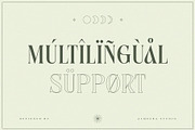 Anchika – Elegant Ligature Serif, a Serif Font by Almeera Std (Thumbnail 9 of 10)