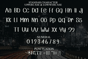 Perfect Design, a Serif Font by InermediaSTUDIO (Thumbnail 3 of 8)