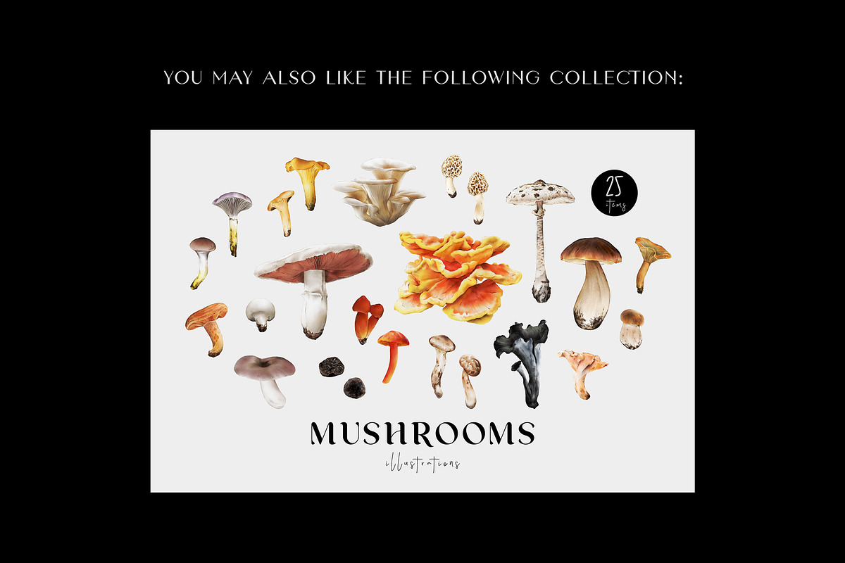 Mushroom illustration. Fungi clipart, a Food Illustration by Diana Askarova Art (Photo 5 of 6)
