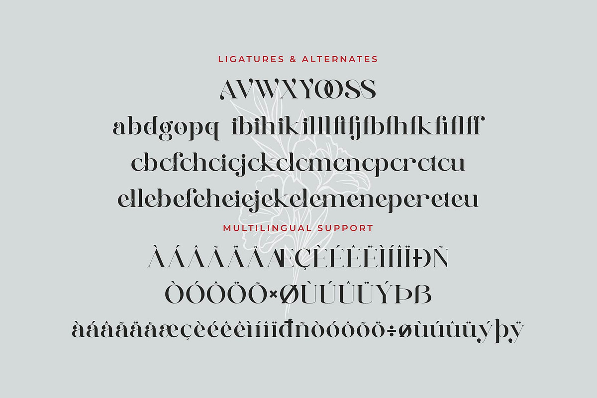 Vellago - Stylish Ligature Font, a Serif Font by Aqeel_Art (Photo 7 of 8)