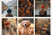 Stock Photos Autumn, a Nature Photo by HAYAG Creatives (Thumbnail 4 of 6)