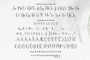 Ashley | Script Font, a Handwritten Font by Scratchones (Thumbnail 7 of 9)