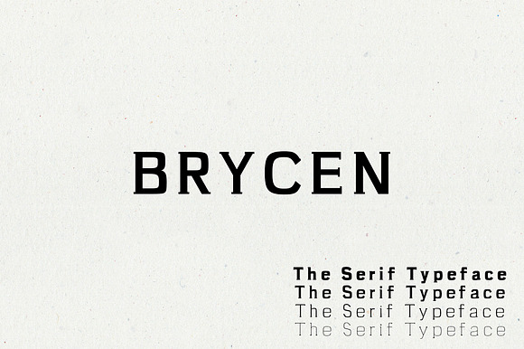 Brycen Serif Premium 7 Font Family preview 8