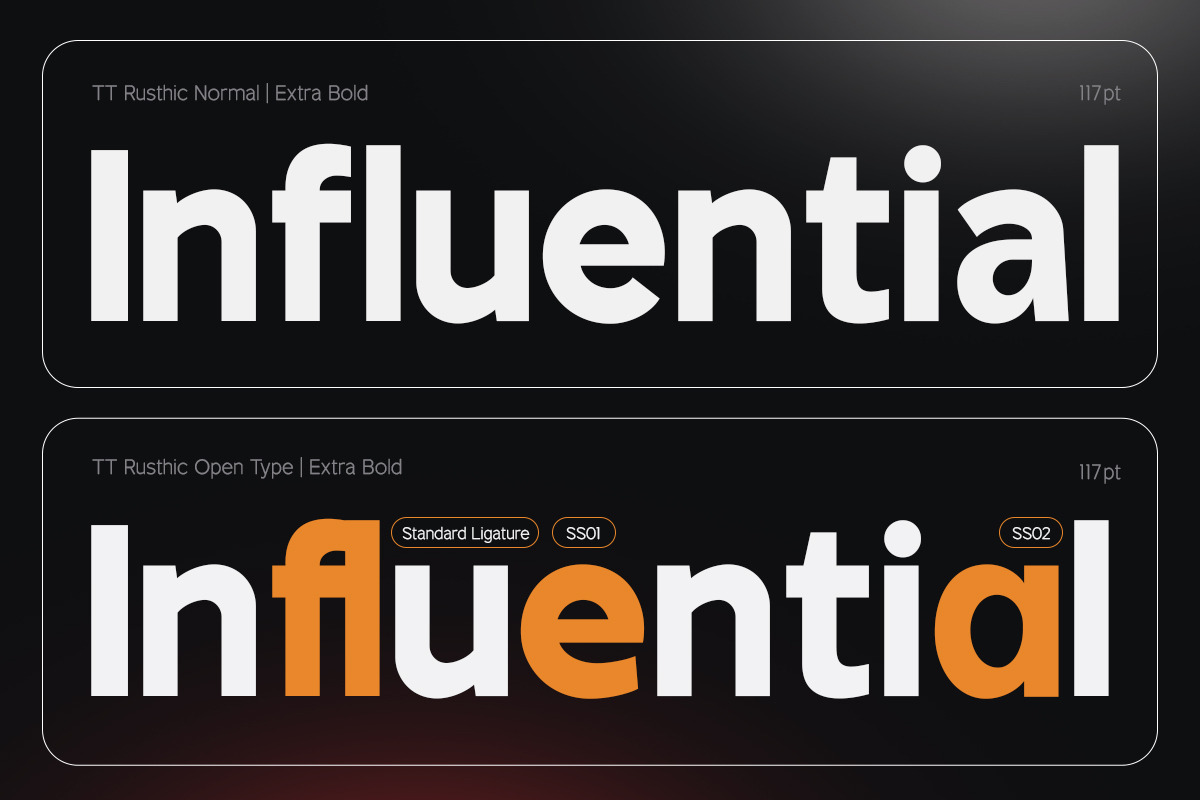 TT Rustic Grotesque Sans, a Sans Serif Font by truetype (Photo 12 of 15)
