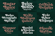 Tipo De La Manda | Retro Font, a Serif Font by Coastal Type (Thumbnail 6 of 9)
