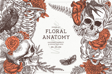 Floral Anatomy, an Illustration by adehoidar