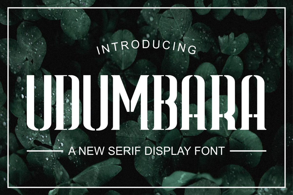 Udumbara Font, a Serif Font by brahamb_design (Photo 1 of 4)