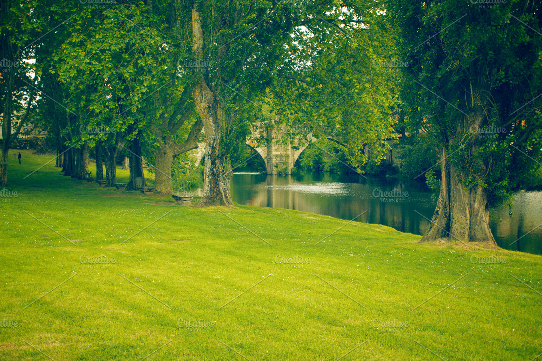 Park With River
