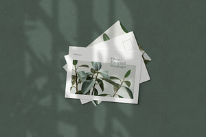 Flyer / Postcard Mockups