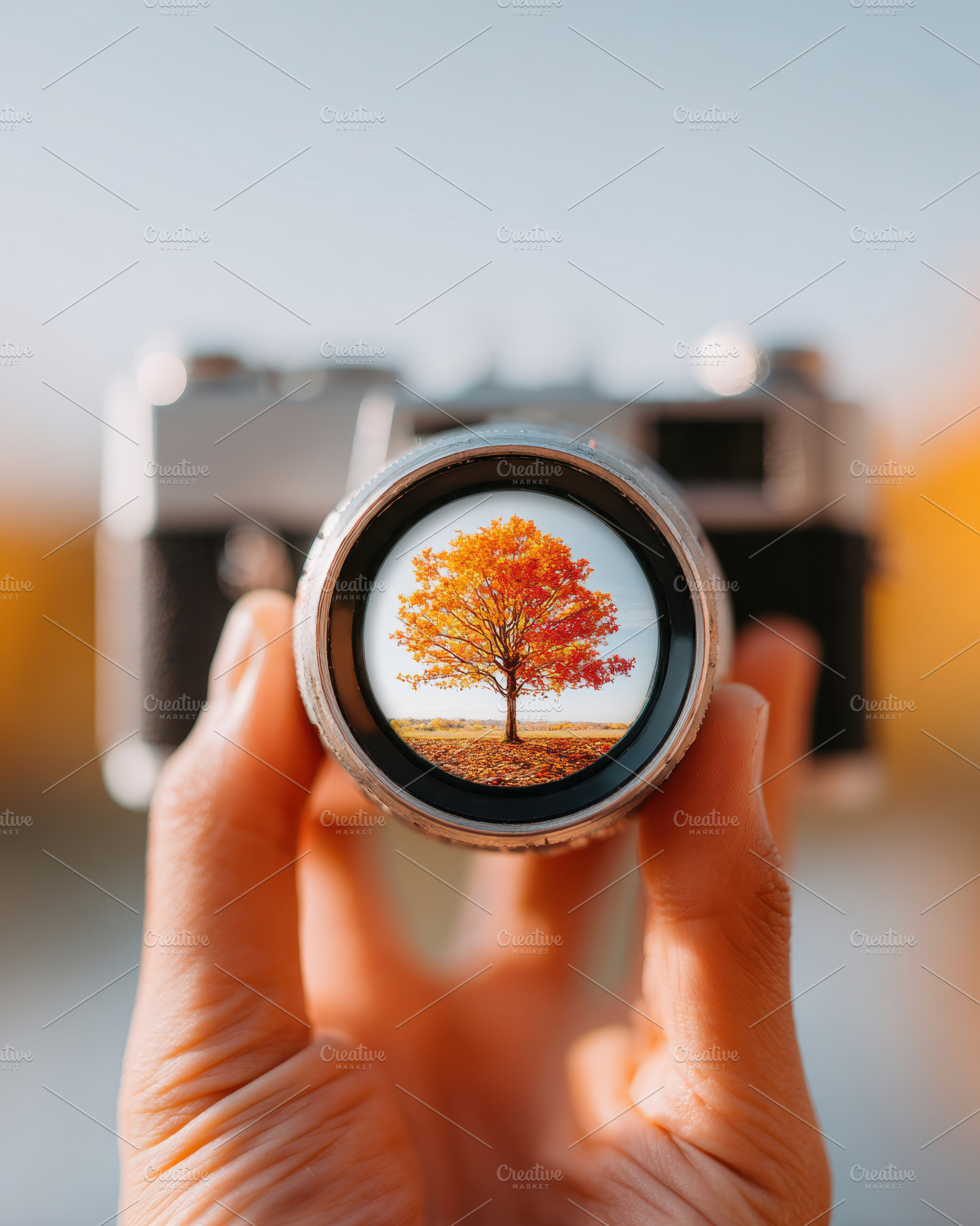 Autumn Tree Through Camera Lens, an Abstract Photo by AlyaAnd