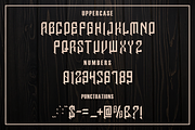 Antikee font, a Serif Font by VectorCraft (Thumbnail 3 of 4)