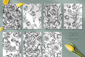 Tulip Flowers Vector Set