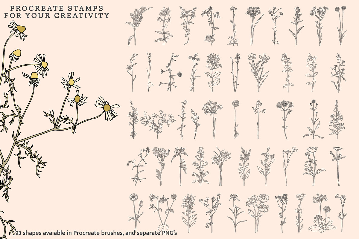 Procreate Stamps Wildflowers, a Brush Add-On by Pink Studio Art