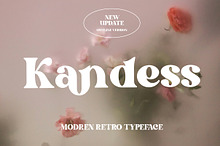 Kandess | Stylish Serif Font Trio