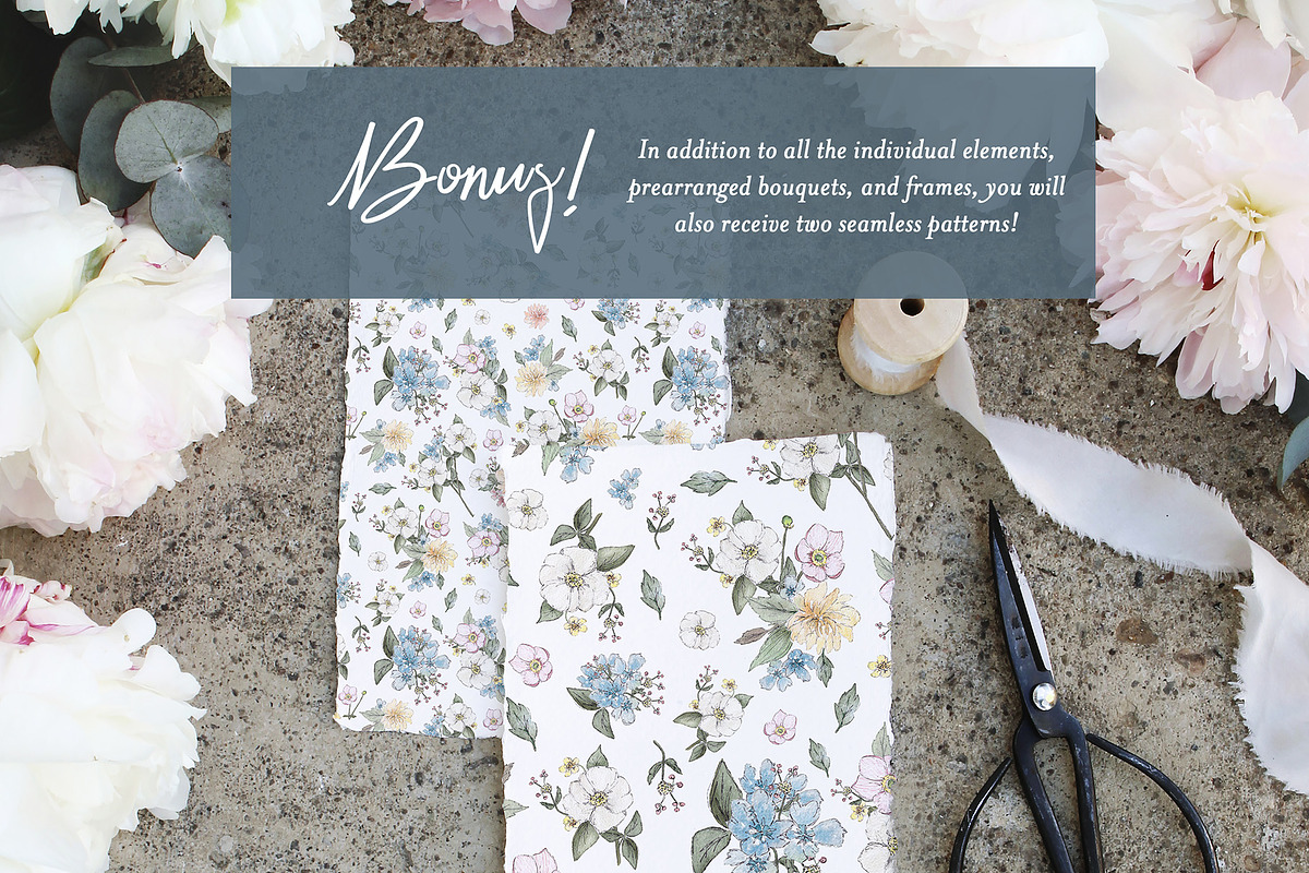 Botanical Watercolor Collection, an Illustration by Emerald & Ivy Studios (Photo 8 of 12)