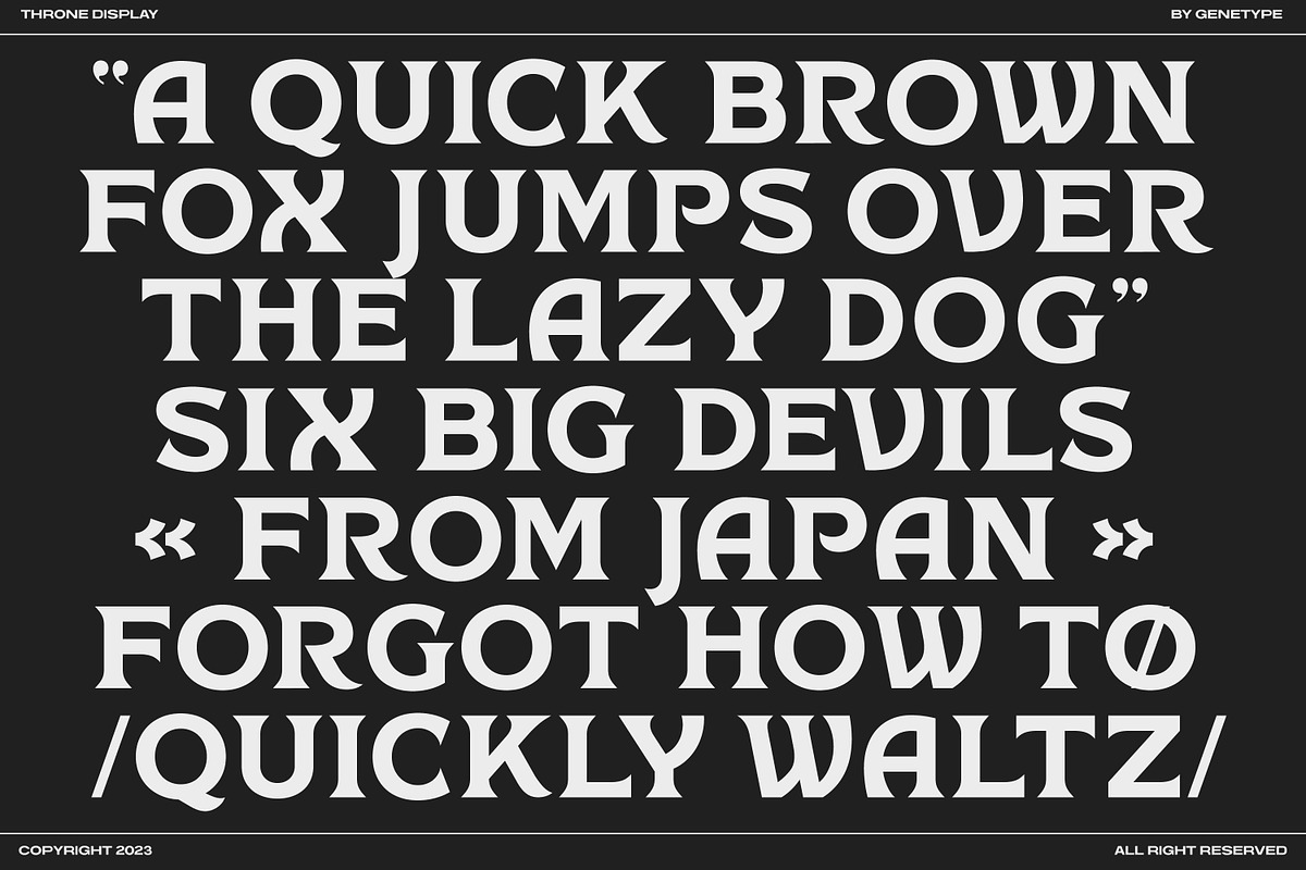 Chrone Display Font, a Serif Font by Genetype (Photo 4 of 8)