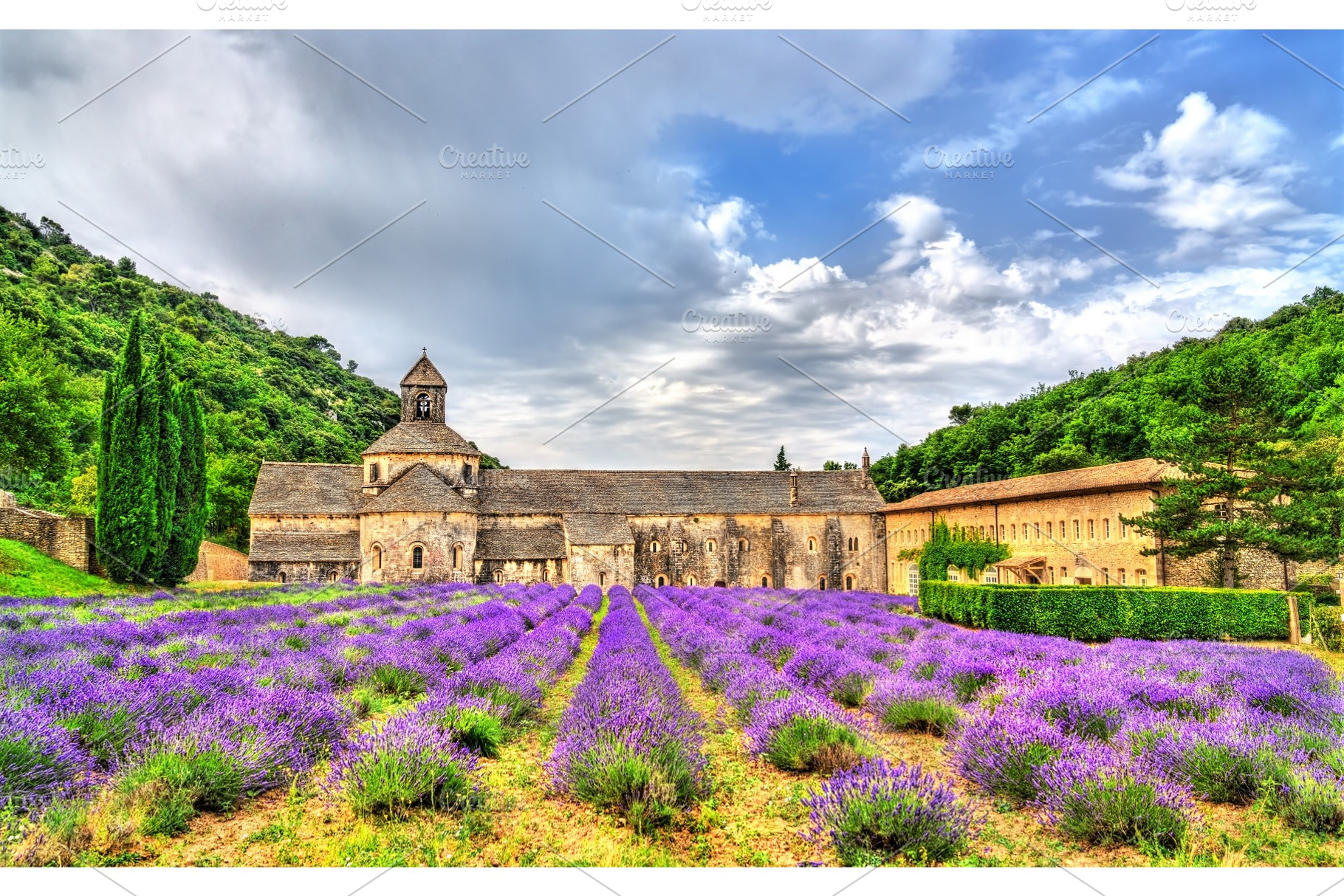 Senanque abbey a major tourist stock photo containing abbey and provence, an Architecture Photo by Leonid Andronov