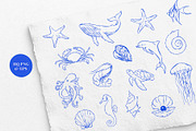 Ocean Ink – Hand-Drawn Illustration, an Object Graphic by Deveze Art & Co (Thumbnail 5 of 6)
