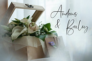 Bonelest | Stylish Ligature, a Script Font by Pentagonistudio (Thumbnail 2 of 10)