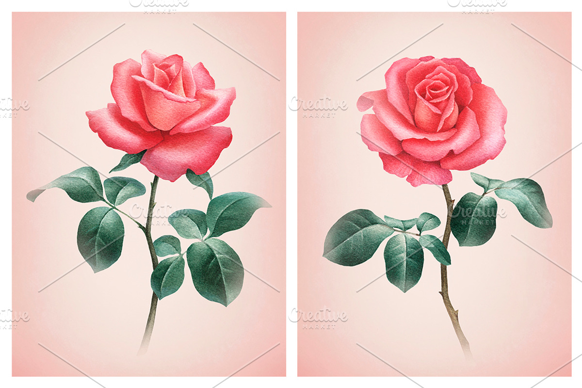 Red roses illustrations and patterns, a Texture Illustration by Sundra (Photo 10 of 11)