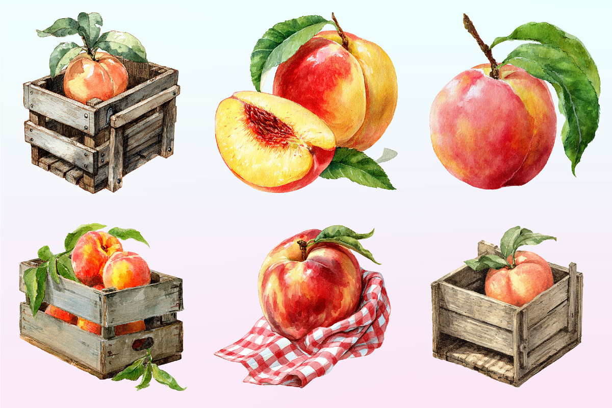 Cute Peaches Garden Fruit Png, a Graphic by CitraGraphics (Photo 3 of 4)