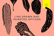 Fruit & Veg - Hand Drawn Vectors, a Food Illustration by STUDIO PAF (Thumbnail 3 of 8)