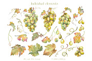 Watercolor Grapes Clipart Set, a Food Illustration by Jeanna Draw (Thumbnail 10 of 12)