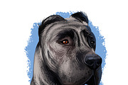 Mastiffs and Pugs 34 PSD Dogs Set, an Animal Illustration by Dneprstock (Thumbnail 13 of 15)