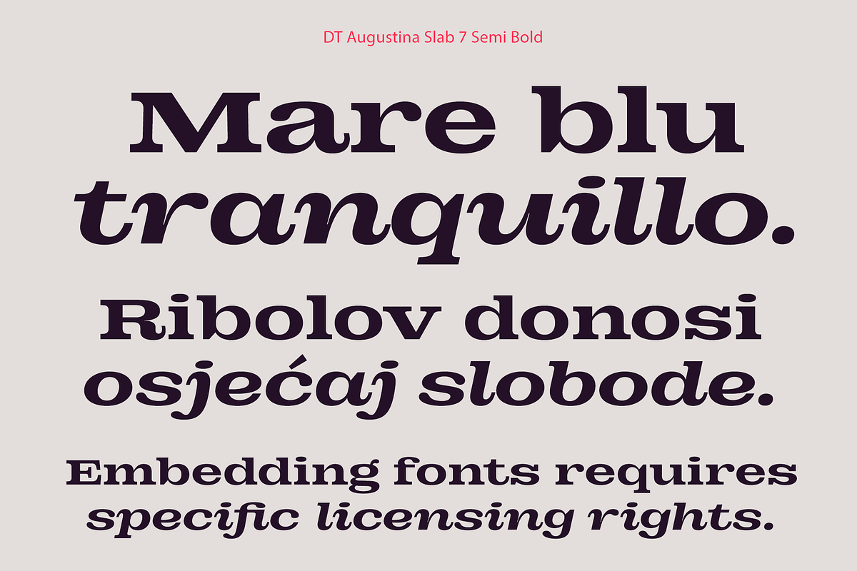 DT Augustina Slab 7 Subfamily, a Slab Serif Font by Deveze Type Foundry (Photo 11 of 31)