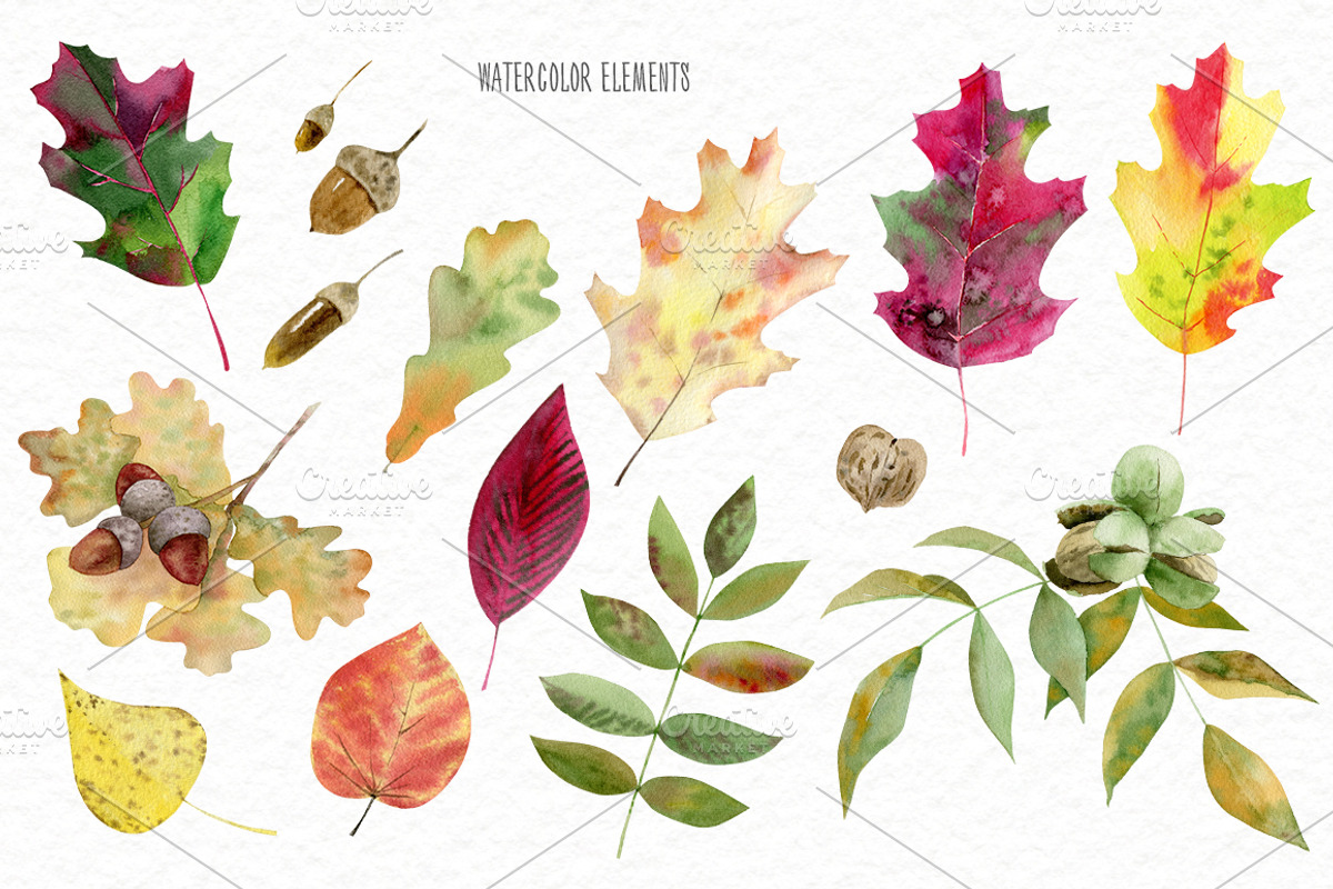 Autumn rustic watercolor kit, a Decorative Illustration by Elegantia (Photo 3 of 10)