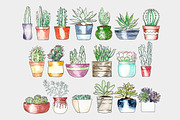 Potted Succulents Illustration Pack, an Illustration by plaidGecko (Thumbnail 2 of 3)