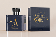 Glittery - Lavish Luxury Font, a Serif Font by Sensatype (Thumbnail 2 of 12)