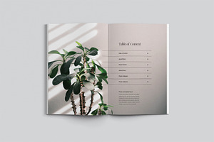 Plant Catalog