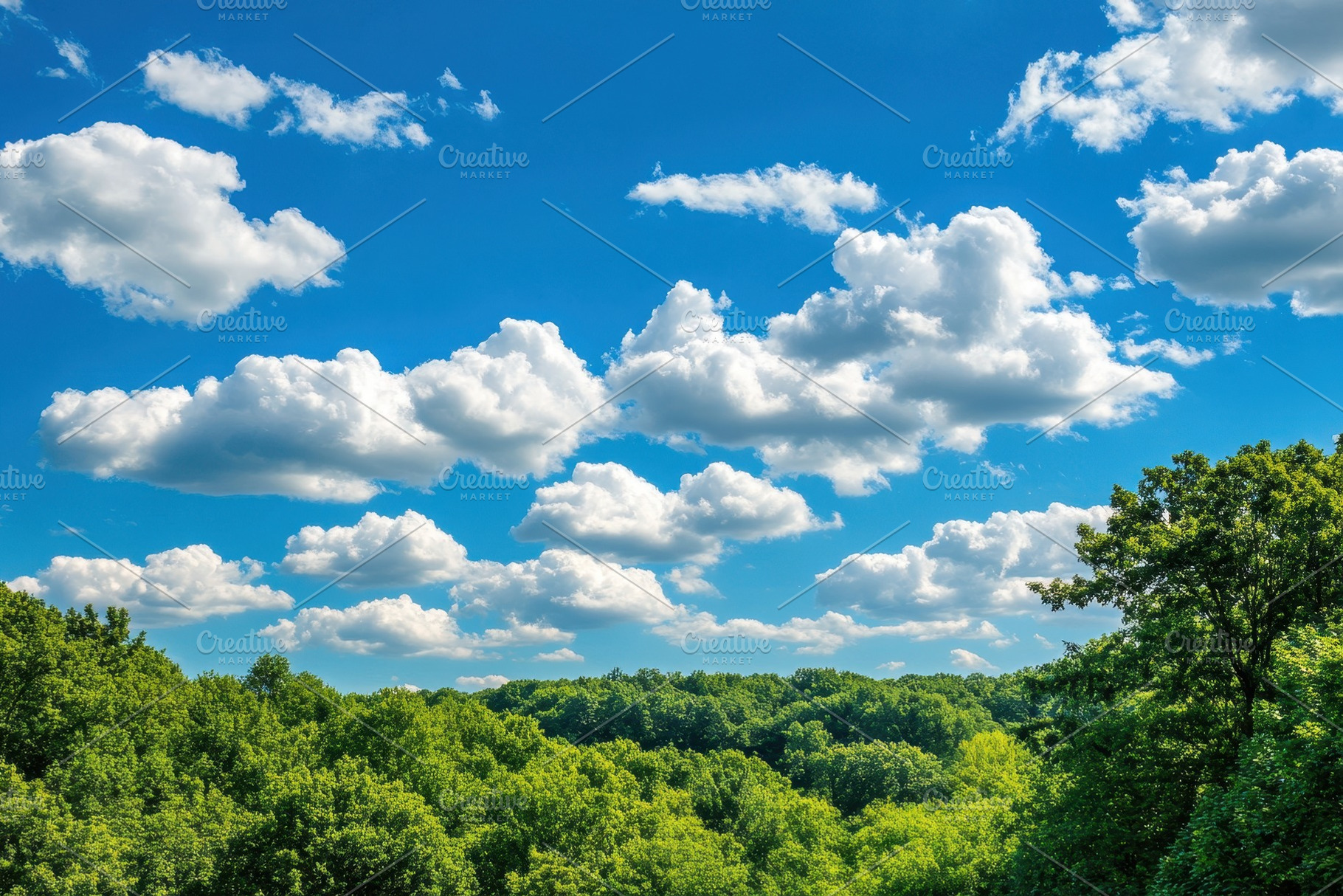 Lush green forest under a bright blu, a Photo by Iftikhar Alam