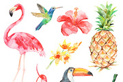 Watercolor tropical set, an Illustration by artnLera (Thumbnail 3 of 3)