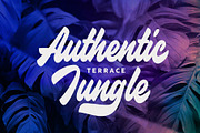 Balancia, a Script Font by Tortugastudios (Thumbnail 2 of 37)