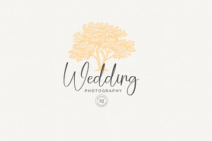 Photography Tree Logo Template