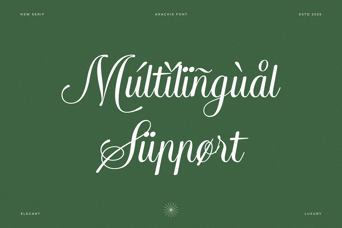 Arachis – Elegant & Modern Script, a Script Font by Almeera Std (Photo 10 of 10)