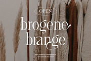 Ghina Ligature Serif Typeface, a Serif Font by yaqublekker (Thumbnail 7 of 10)