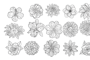 Flower Handdrawn Collection