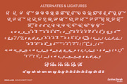 Ringland Script Font, a Script Font by Letter Fresh (Thumbnail 10 of 10)