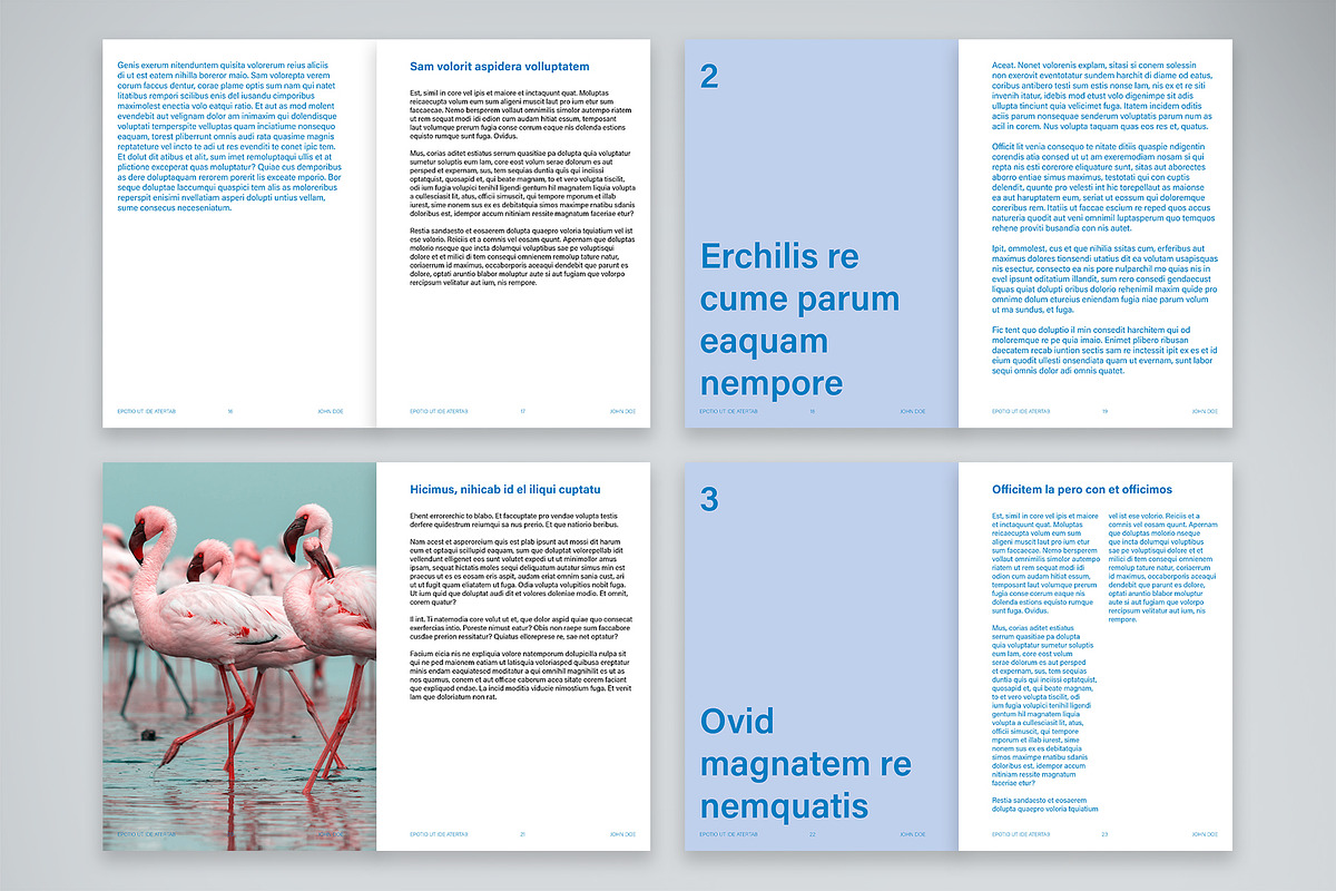 Cool Tone Editorial Template preview 4