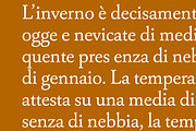 Capricho, a Serif Font by Hoftype (Thumbnail 11 of 14)