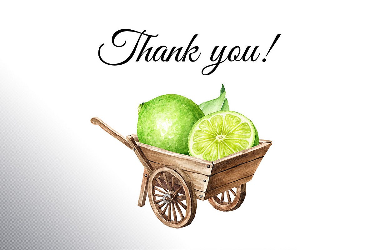 Lime citrus. Watercolor collection, a Food Illustration by Daria Ustiugova (Photo 20 of 21)