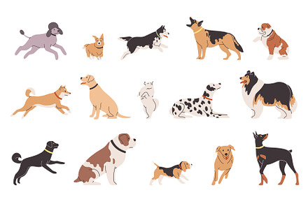 Set dogs different breeds. Happy, an Animal Illustration by YummyBuum