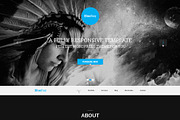 BlueRay - Single Page PSD Theme, a Websites & App Template by Metrothemes (Thumbnail 4 of 4)