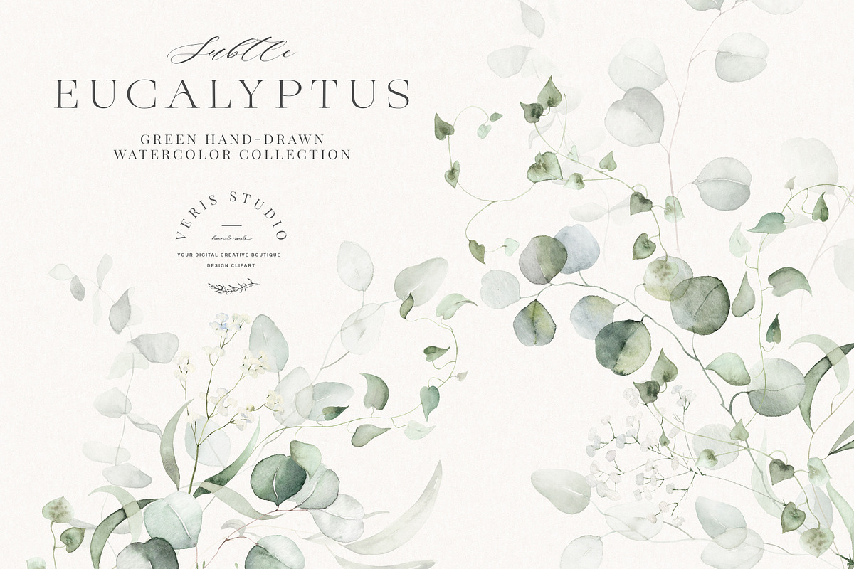 Watercolor Eucalyptus Green Floral, a Decorative Illustration by Veris Studio (Photo 19 of 20)